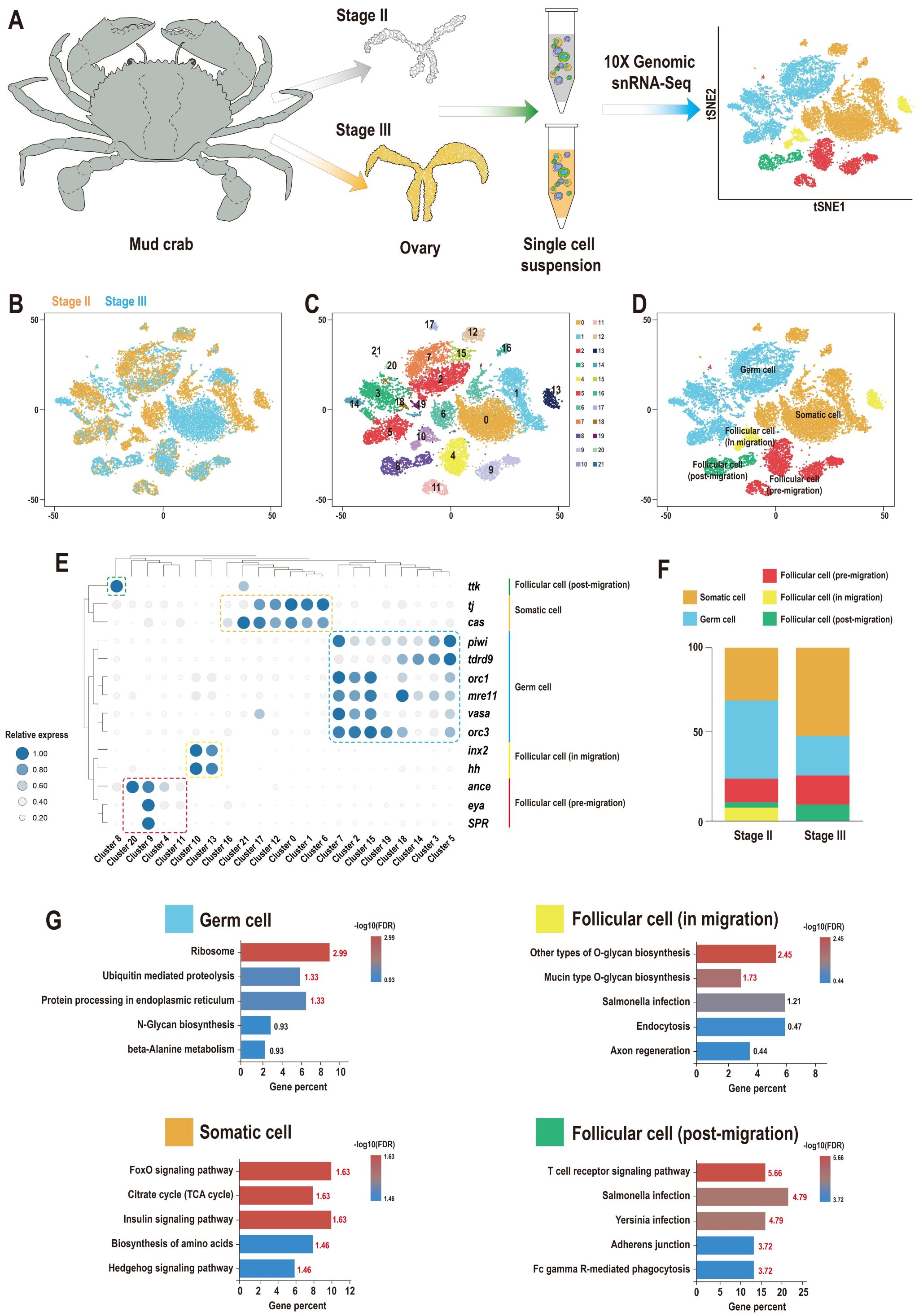 微信图片_20241204150659.jpg 微信图片_20241204150659.jpg